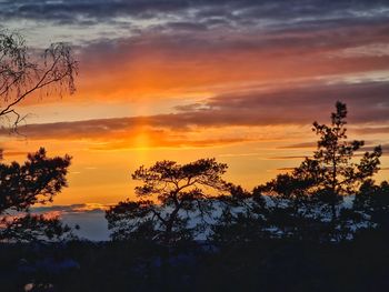 Silhouette trees against dramatic sky during sunset