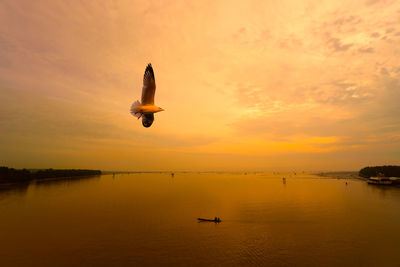 Silhouette bird flying over lake against sky during sunset