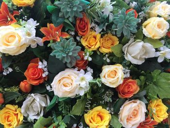 High angle view of colorful roses