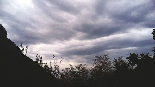 Low angle view of silhouette trees against sky