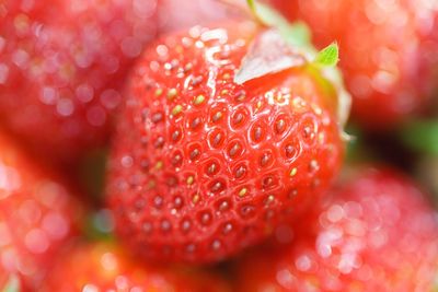 Full frame shot of strawberries