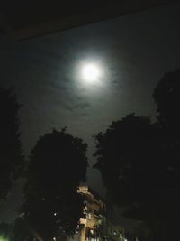 Low angle view of illuminated trees against sky at night