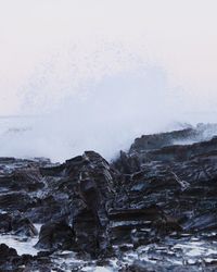 Scenic view of sea against clear sky during winter