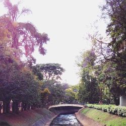 Walkway by river in park against clear sky