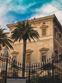 Low angle view of palm trees against building