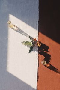 Close-up of butterfly on wall