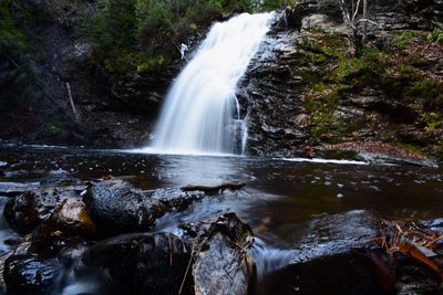 Scenic view of waterfall in forest