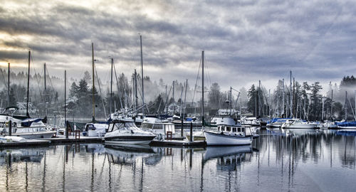 Boats moored at harbor