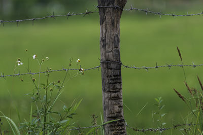 View of barbed wire fence on field