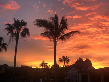 Silhouette palm trees against orange sky