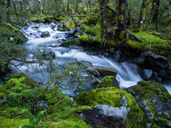 Stream flowing through rocks in forest