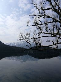 Scenic view of lake by tree against sky