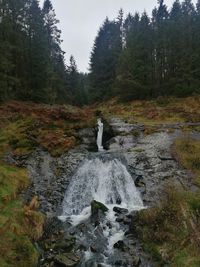 Stream flowing through rocks in forest