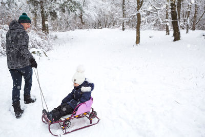 Dad takes his little daughter on a sledge uphill through the winter 