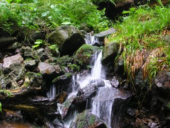 Waterfall in forest