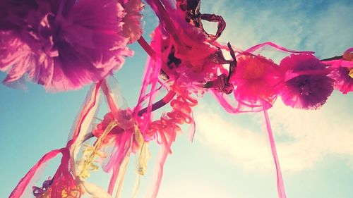 Low angle view of flowers against sky