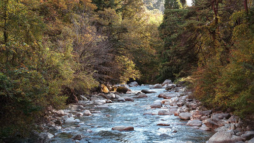 river