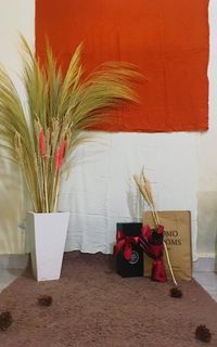 Close-up of potted plant on table against wall