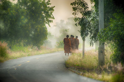 Rear view of horse walking on road