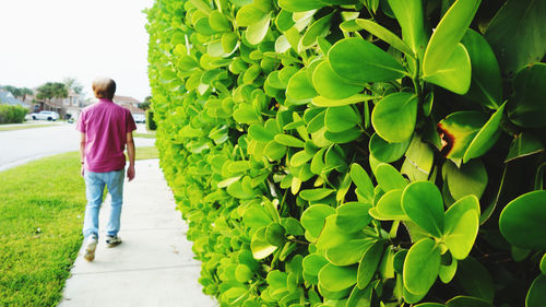 Rear view of woman walking on tree