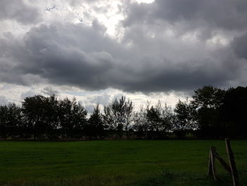 Trees on field against sky