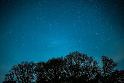 Low angle view of silhouette trees against star field at night