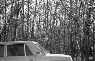 Road seen through car windshield