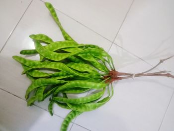 High angle view of fresh green leaf on floor