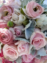 Full frame close-up of pink roses