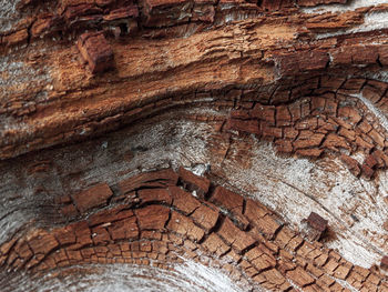Low angle view of stone wall