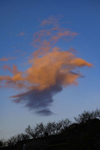 Low angle view of silhouette trees against sky during sunset