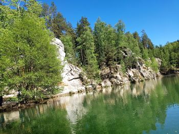 Scenic view of river in forest against sky