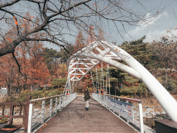 Man standing on footbridge against trees