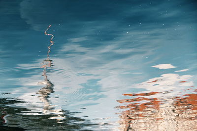 Reflection of trees in water