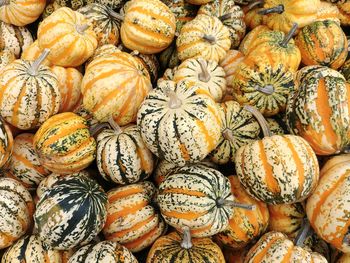 Full frame shot of pumpkins at market