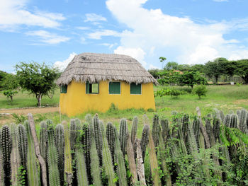 Scenic view of agricultural field against sky