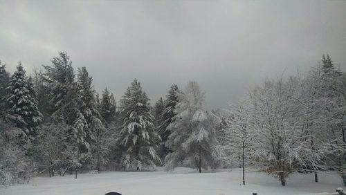 Snow covered landscape