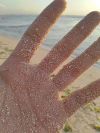 Close-up of woman hand on wet sand