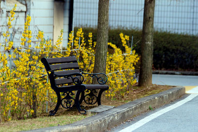 Empty bench in park