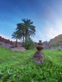 Palm trees on grass against sky