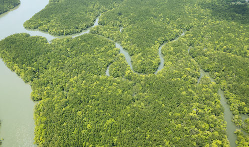 High angle view of green landscape