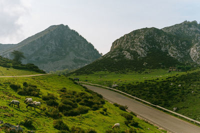 Scenic view of landscape and mountains against sky