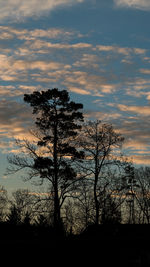 Low angle view of silhouette tree against dramatic sky