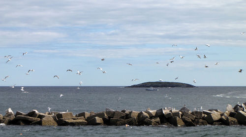 Seagulls flying over sea against sky