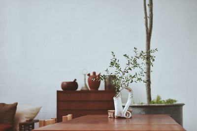 Potted plant on table at home