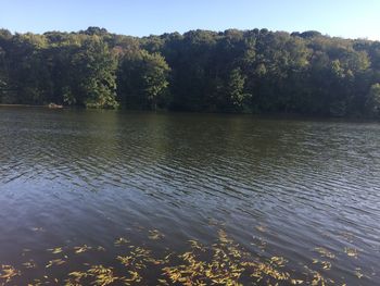 Scenic view of lake against trees