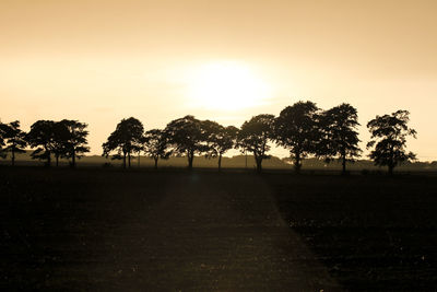 Silhouette trees on field against sky during sunset