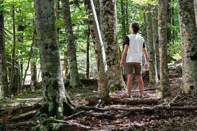 Rear view of man walking amidst trees in forest