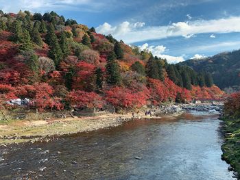 Scenic view of river by trees against sky during autumn