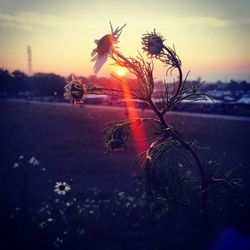 Sun shining through clouds